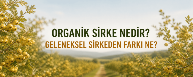Organik Sirke Nedir? Geleneksel Sirkeden Farkı Ne?