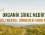 Organik Sirke Nedir? Geleneksel Sirkeden Farkı Ne?