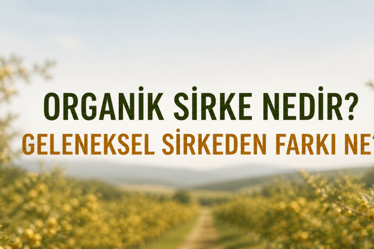 Organik Sirke Nedir? Geleneksel Sirkeden Farkı Ne?